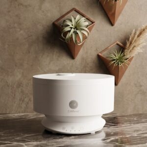Mood Light Aroma Diffuser